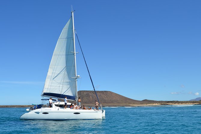 Exclusive Sailing Catamaran Experience to Lobos Island with lunch - Paella, fruit, and drinks on board