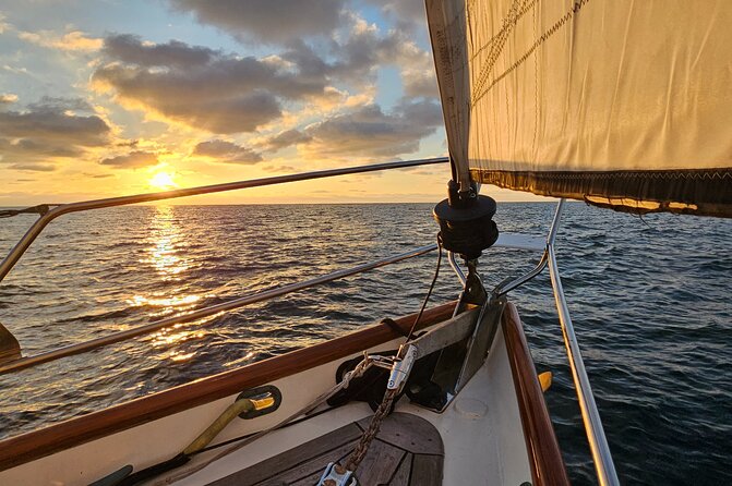 Experience Oceanside Sailing with Whales and dolphins! - Key points to know before you book