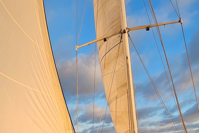 Experience Oceanside Sailing with Whales and dolphins! - Setting sail from Oceanside Harbor
