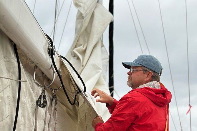 Experience Oceanside Sailing with Whales and dolphins! - The feel of a two-hour private cruise