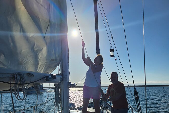 Experience Oceanside Sailing with Whales and dolphins! - Is $130 per person a good value?