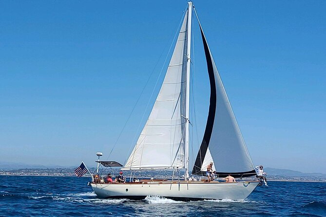 Experience Oceanside Sailing with Whales and dolphins! - Who will enjoy Song of David most?