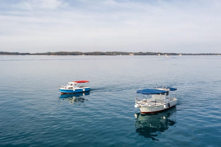 Fažana: Sail like a president with Brijuni Panorama - Watching for dolphins along the coast
