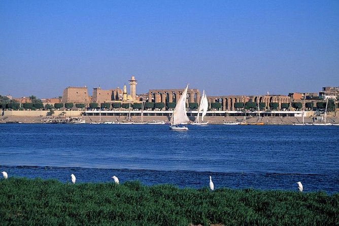 Felucca in Luxor Amazing Sunset sailing {Private} 2 Hours - Watching daily life along the Nile