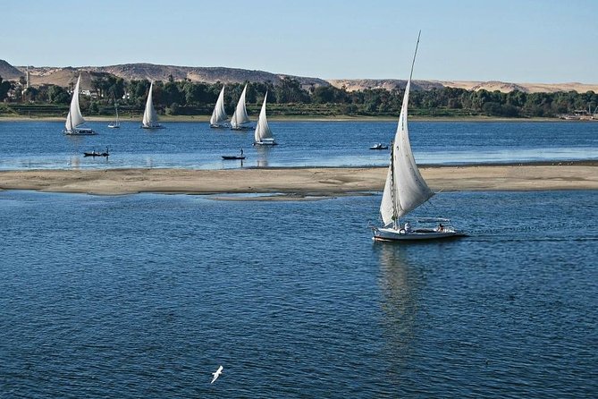 Felucca in Luxor Amazing Sunset sailing {Private} 2 Hours - Settling onto the private felucca