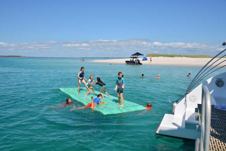 Fraser Island 4-Hour Eco-Sailing Adventure - Fraser Island and the Pelican Bank swim