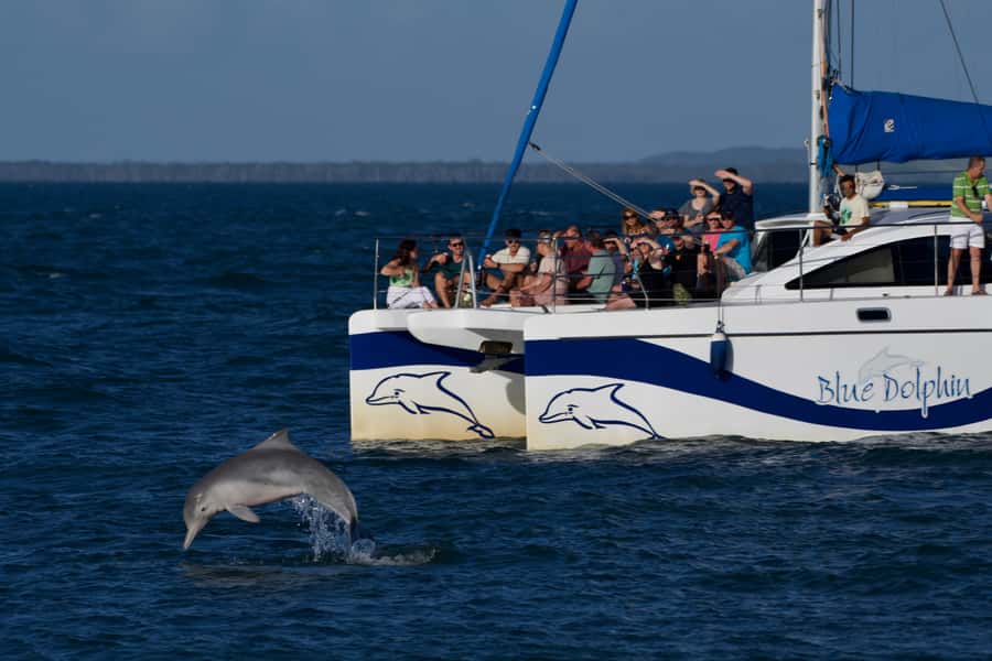Fraser Island 4-Hour Eco-Sailing Adventure - Is $77 good value?