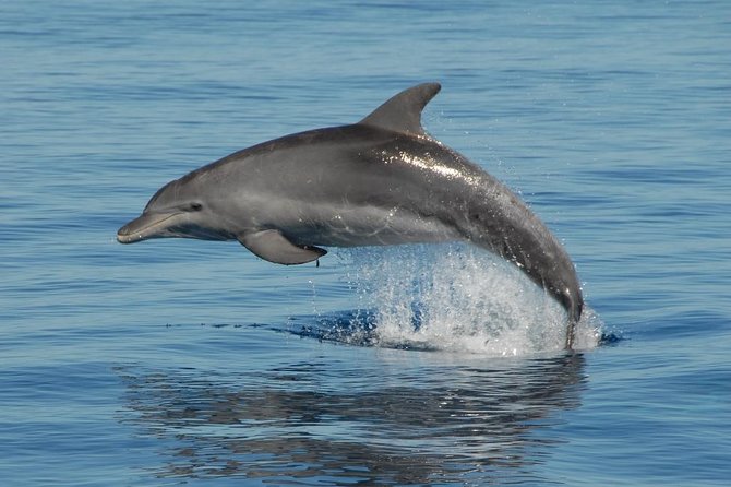 Fraser Island & Dolphin Sailing Adventure - Why this cruise works so well from Hervey Bay