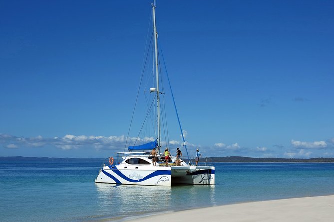 Fraser Island & Dolphin Sailing Adventure - Swimming, boom netting, and time in the water