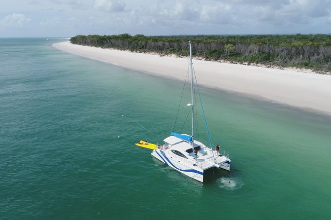 Fraser Island & Dolphin Sailing Adventure - Morning tea and the real value of $78.90