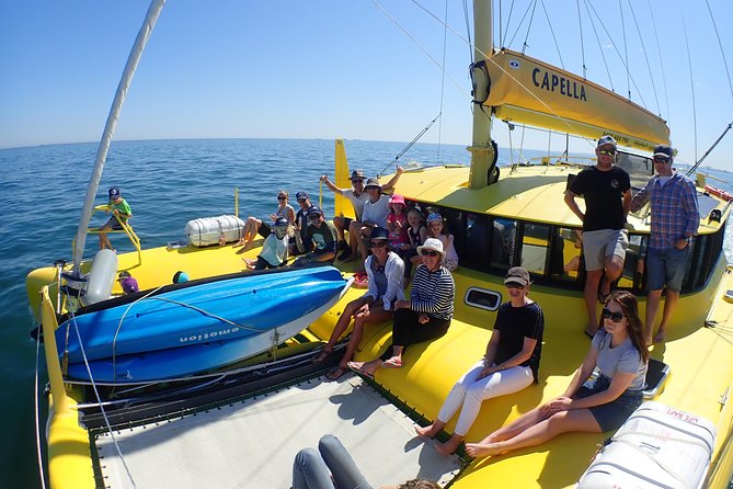 Fremantle Twilight Sail - Whale watching from September to November