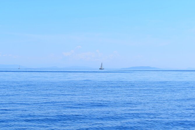 From Agia Efimia: All Inclusive Sailing Day Tour to Ithaca - Key points before you book