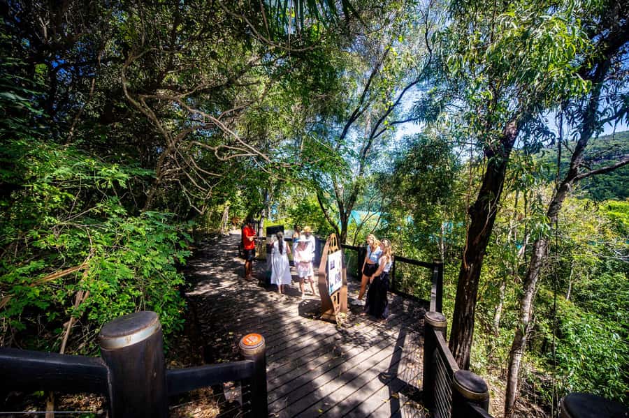 From Airlie Beach: Hook Island Cultural Tour, Sail & Snorkel - Who will enjoy Lady Enid most