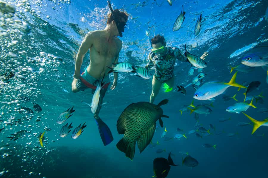 From Airlie Beach: Hook Island Cultural Tour, Sail & Snorkel - Should you book this Whitsunday day sail?