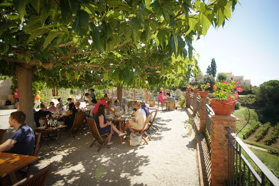 From Barcelona: Sailing and Wine Tasting Experience - Alella Harbor and the short ride inland