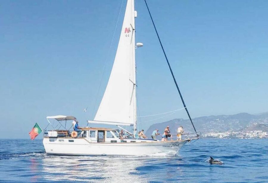 From Funchal: West Bays Sailing Tour with Lunch - Ponta do Sol and Madeira’s west coast