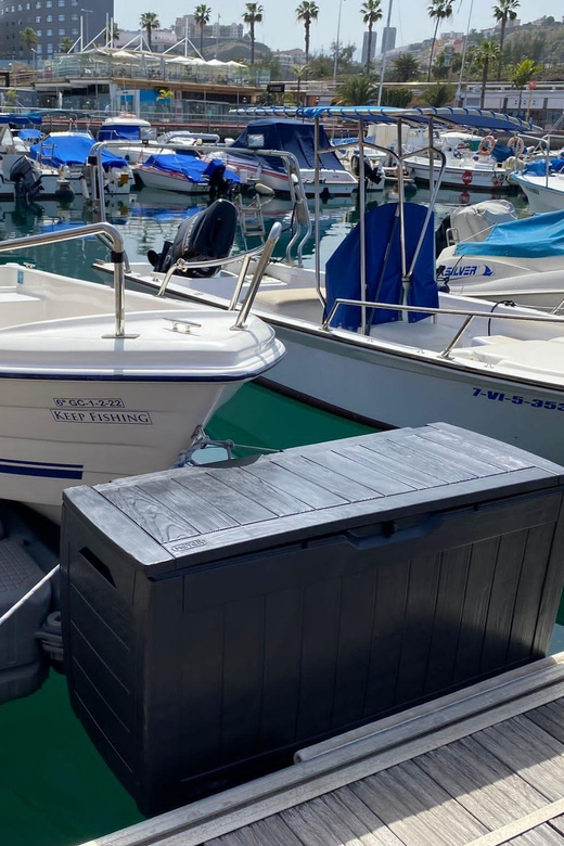 From las Palmas : Day sailing experience along the coast - Food, drinks, and what is included
