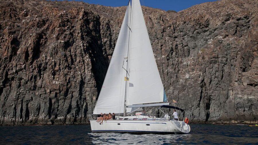 From Los Gigantes: Whale Watching Sailboat Cruise - Is $88 a fair price?