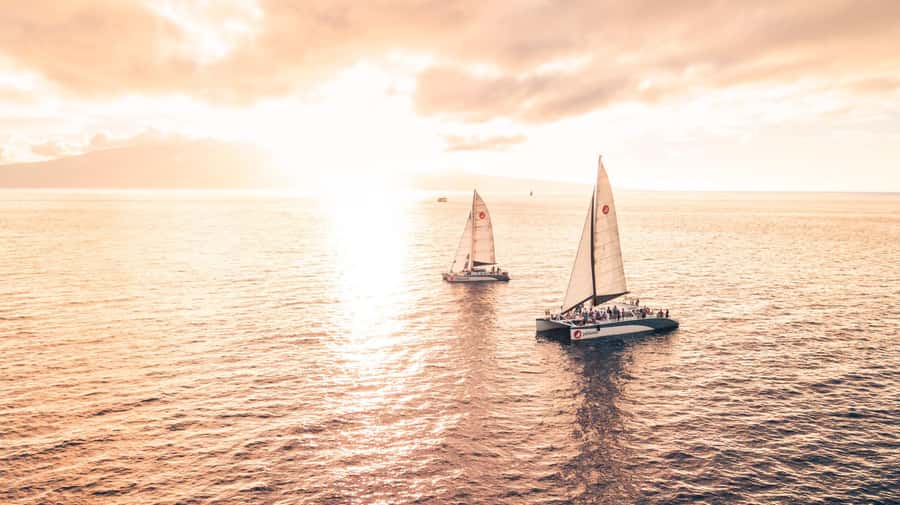 From Ma'alaea: 'Alihilani Sunset Sail Catamaran Tour - Cold hors d’oeuvres and included drinks