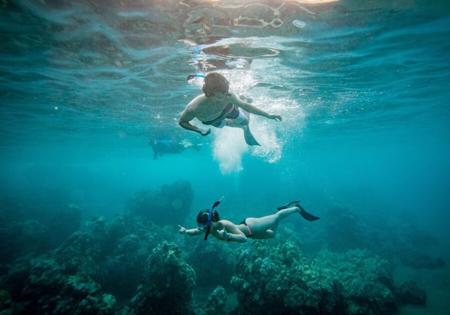From Maalaea: Turtle Town 3-Hour Snorkel and Sail Adventure - The 9 a.m. and 1 p.m. choices