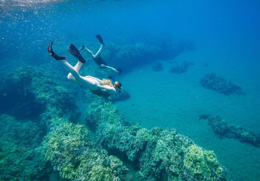 From Maalaea: Turtle Town 3-Hour Snorkel and Sail Adventure - Weather can change the plan