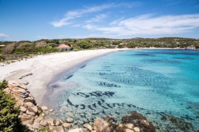 From Palau or La Maddalena: Archipelago Sailing Ship Tour