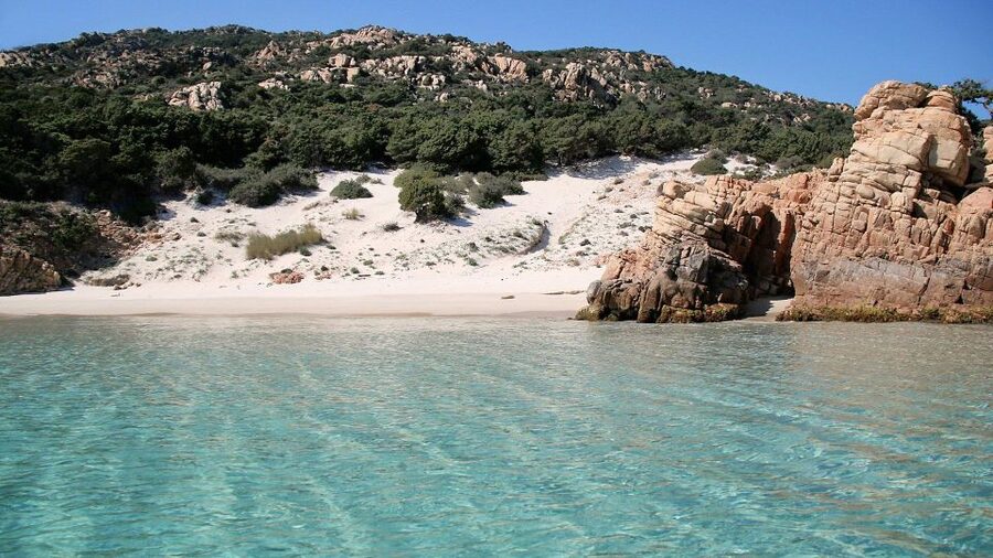 From Palau: Sailboat tour in La Maddalena Archipelago - Should you book this La Maddalena sailing tour?