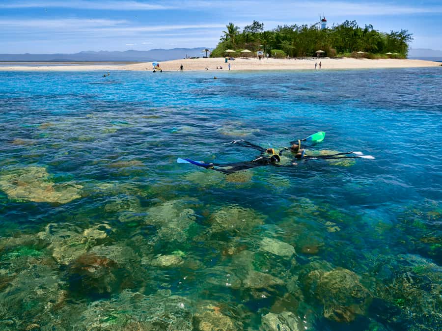 From Port Douglas: Sail to Low Isles Great Barrier Reef - The lagoon, coral cay, and beach time