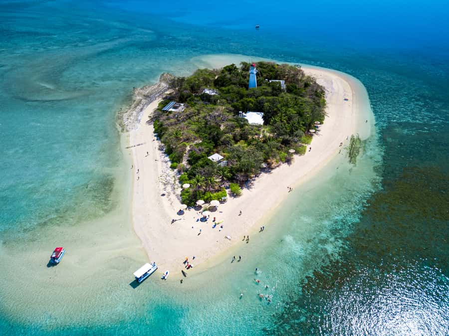 From Port Douglas: Sail to Low Isles Great Barrier Reef - A buffet lunch and a practical boat setup