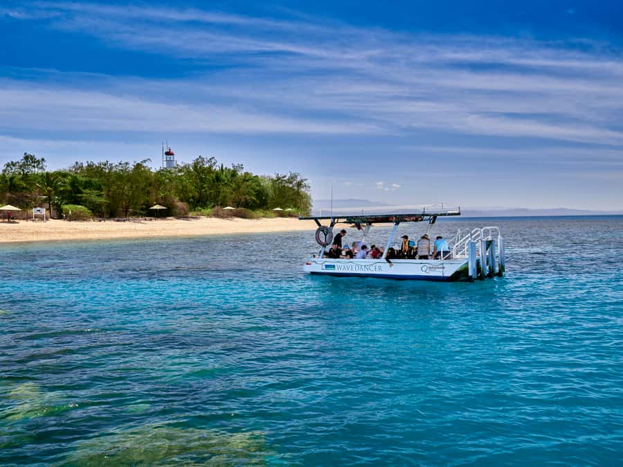 From Port Douglas: Sail to Low Isles Great Barrier Reef - Understanding Low Isles before you enter the water