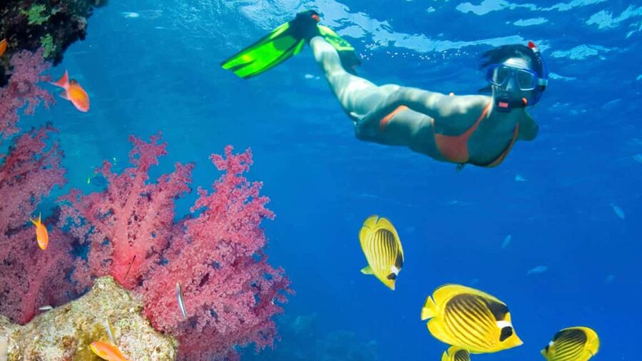 From Punta Cana: Catalina Island Swim, Sail & Snorkel - Four hours of beach time on Catalina Island