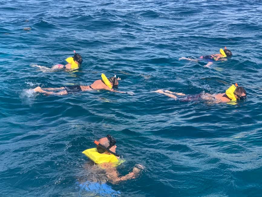 From Punta Cana: Catalina Island Swim, Sail & Snorkel - How the $79 price works out