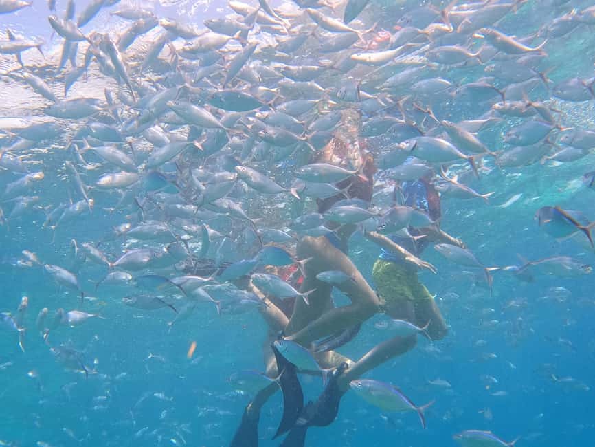 From Punta Cana: Catalina Island Swim, Sail & Snorkel - Should you book the Catalina Island excursion?