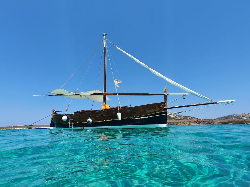 From Stintino: sailing trip to Asinara with Lunch - Practical details for a smoother day