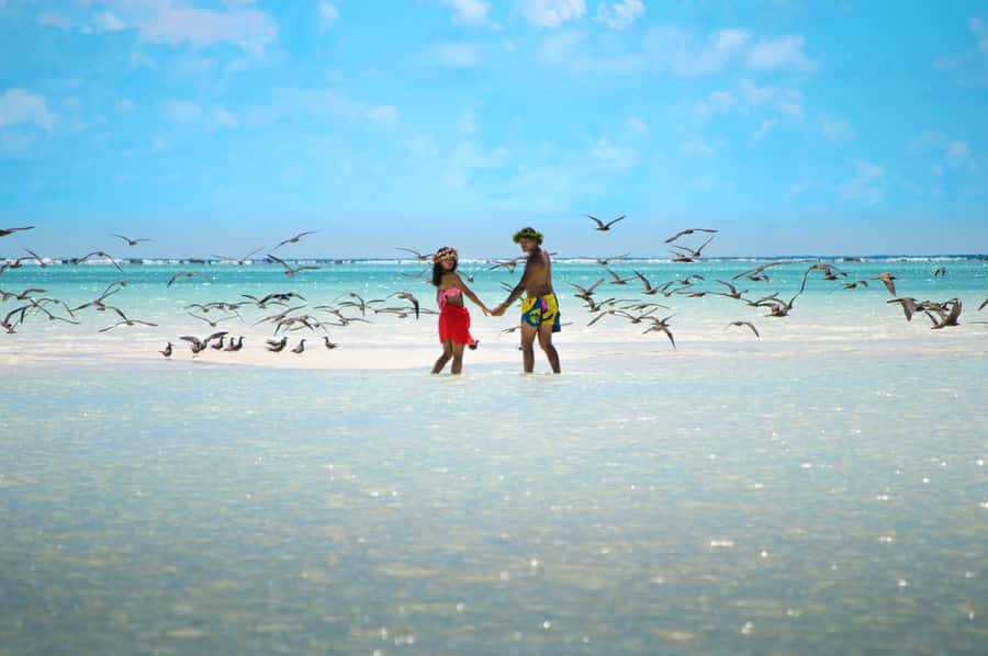From Tahiti: Tetiaroa Island Tour by Sailing Catamaran - Coming ashore by dinghy