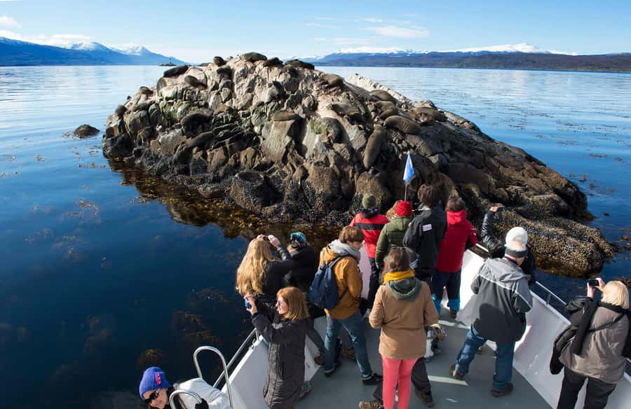 From Ushuaia: Beagle Channel Yacht Sailing Tour - Key points to know before you book