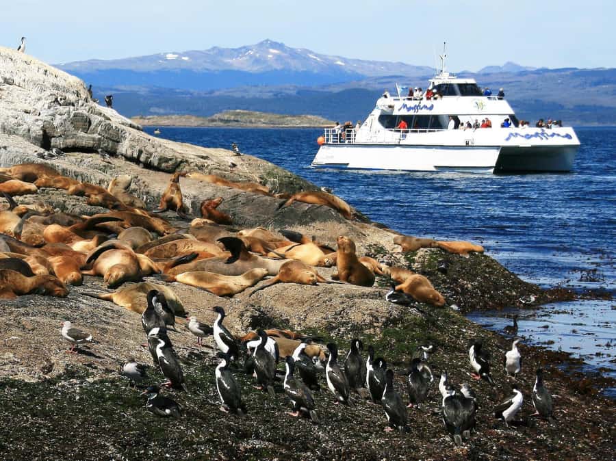 From Ushuaia: Beagle Channel Yacht Sailing Tour - Why the Beagle Channel is worth your half-day