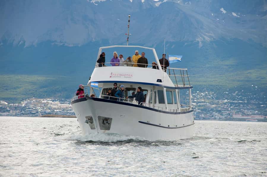 From Ushuaia: Beagle Channel Yacht Sailing Tour - Cormorants and sea lions along the route