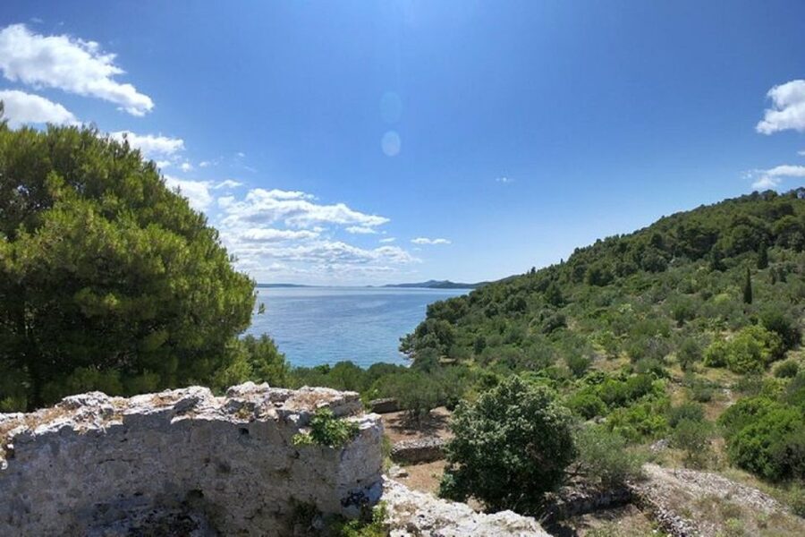 From Zadar: Half/Full Day Sailing Tour - Who will enjoy this boat trip most