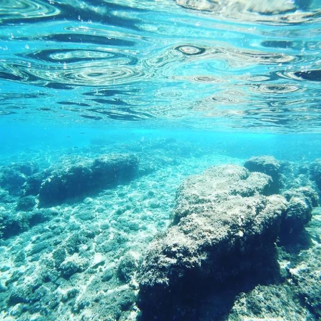 From Zadar: Private Half Day Sailing Tour - Ošljak and Ugljan by sailboat
