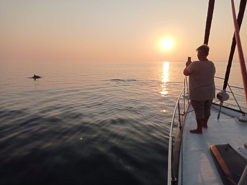 Fuengirola: Dolphin-Watching Sailing Tour with Drinks - What the two-hour route feels like
