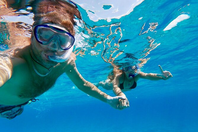 Fuerteventura Sailing Trip from Morro Jable - A chance to meet dolphins, whales, turtles, and rays