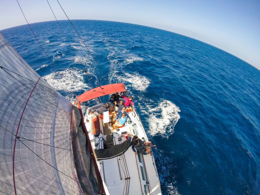 Fuerteventura: Sailing with Snorkeling and Dolphin Watching - Dolphin and whale watching from a small yacht