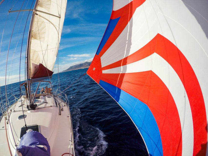 Fuerteventura: Sailing with Snorkeling and Dolphin Watching - What the $104 price really buys