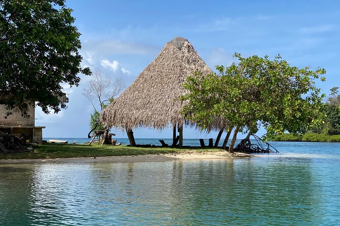 Full-Day Catamaran Sailing Caribbean Beaches with Snorkelling and Lunch - Sailing may be limited