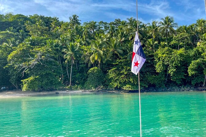 Full-Day Catamaran Sailing Caribbean Beaches with Snorkelling and Lunch - Who will get the most from this day