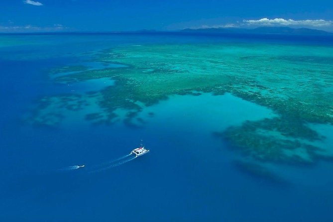 Full-Day Great Barrier Reef Sailing Trip from Cairns - Who Will Enjoy This Trip Most?