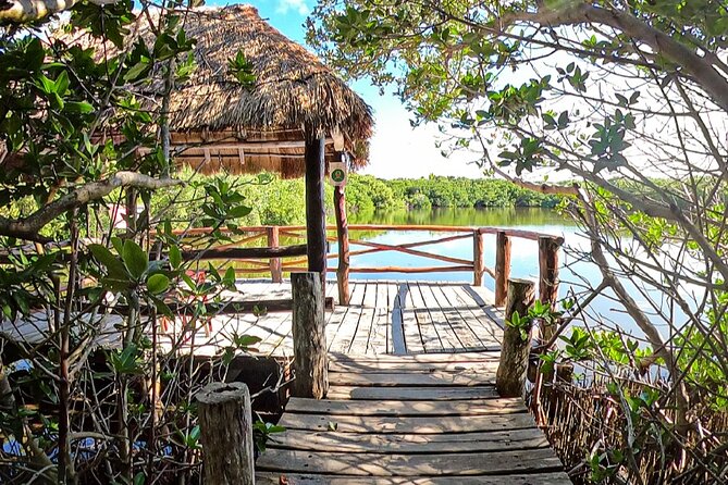 Full-Day Isla Contoy Sailing Nature Experience in Mujeres - Leaving Cancun for Isla Mujeres