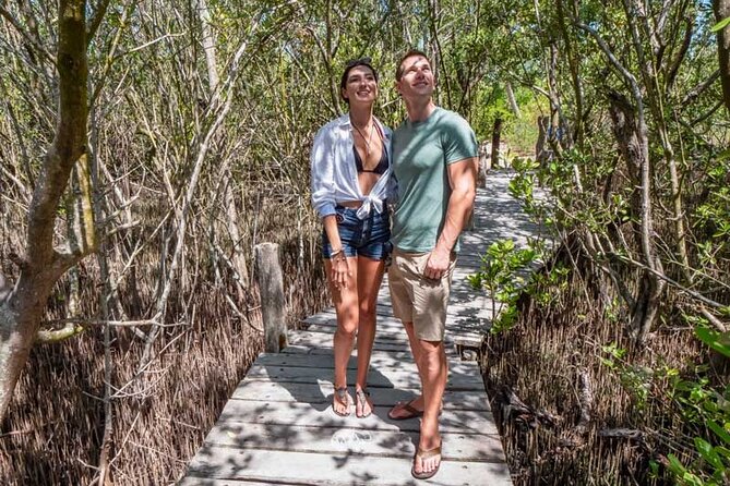 Full-Day Isla Contoy Sailing Nature Experience in Mujeres - Four and a half hours around Isla Contoy