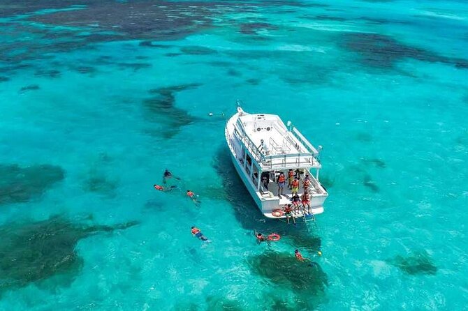 Full-Day Isla Contoy Sailing Nature Experience in Mujeres - What the price delivers